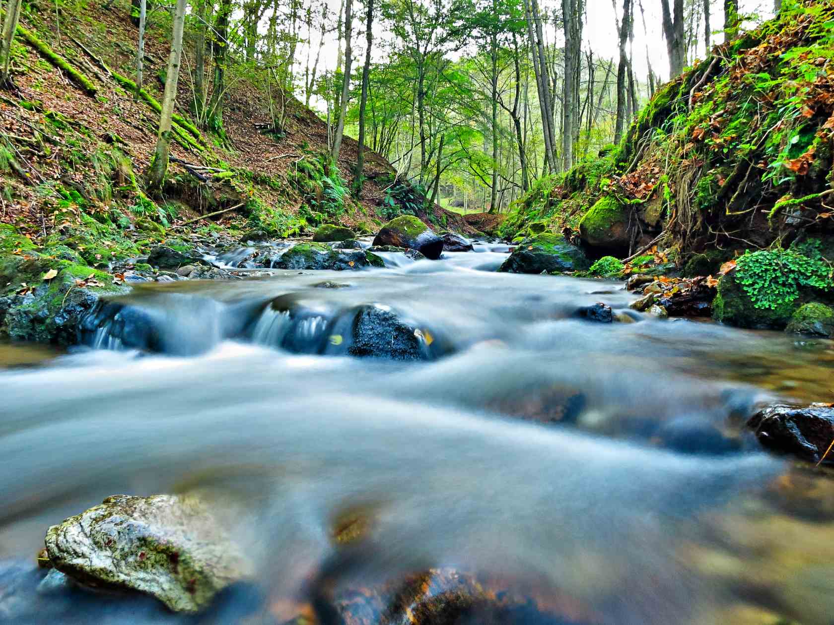 Nuove immagni del torrente Venenza